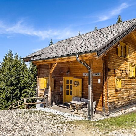 1A Chalet Enzianhuette - Ski Fahren Und Indoor Sauna Villa Elsenbrunn Luaran gambar