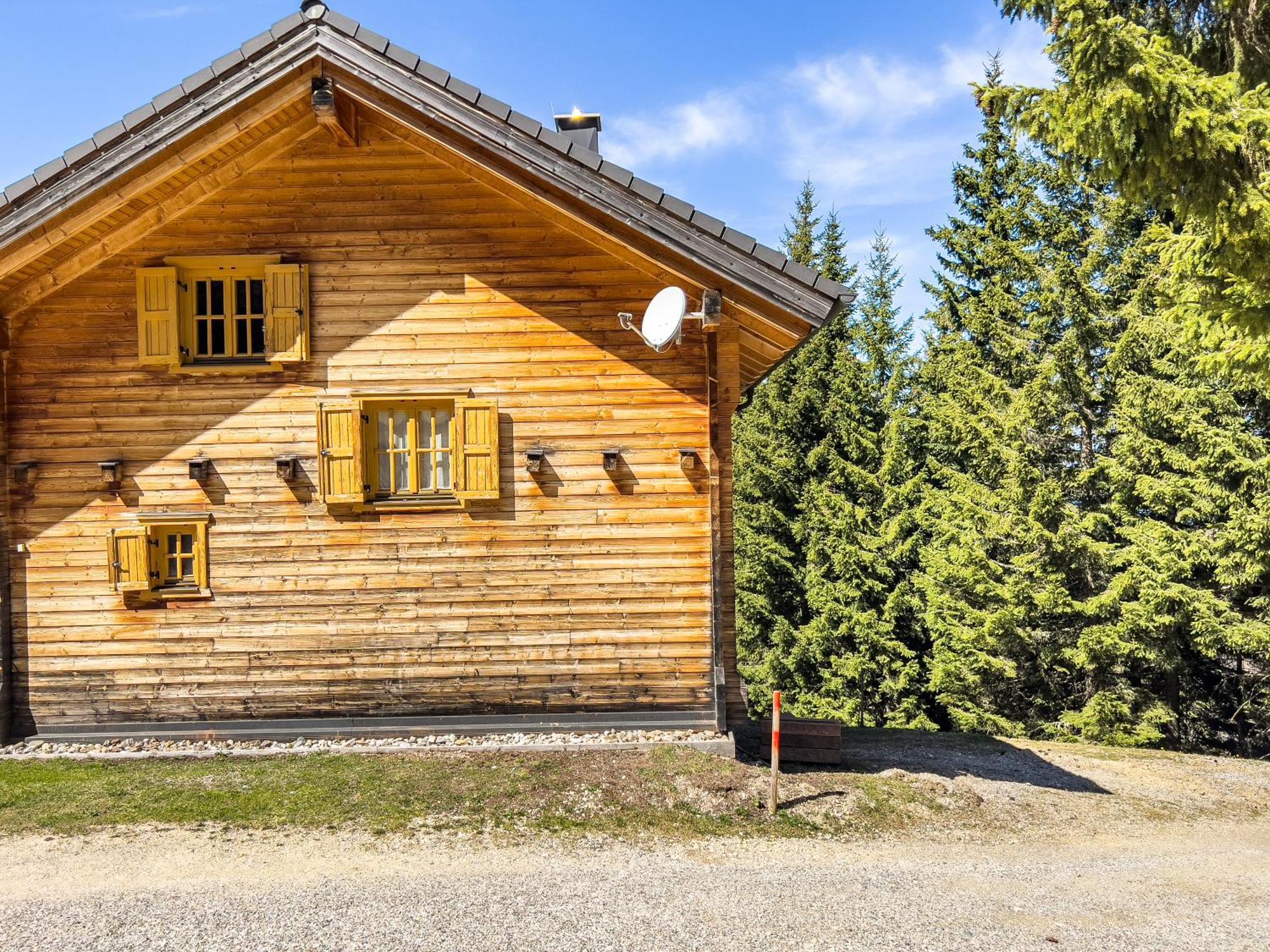 1A Chalet Enzianhuette - Ski Fahren Und Indoor Sauna Villa Elsenbrunn Luaran gambar