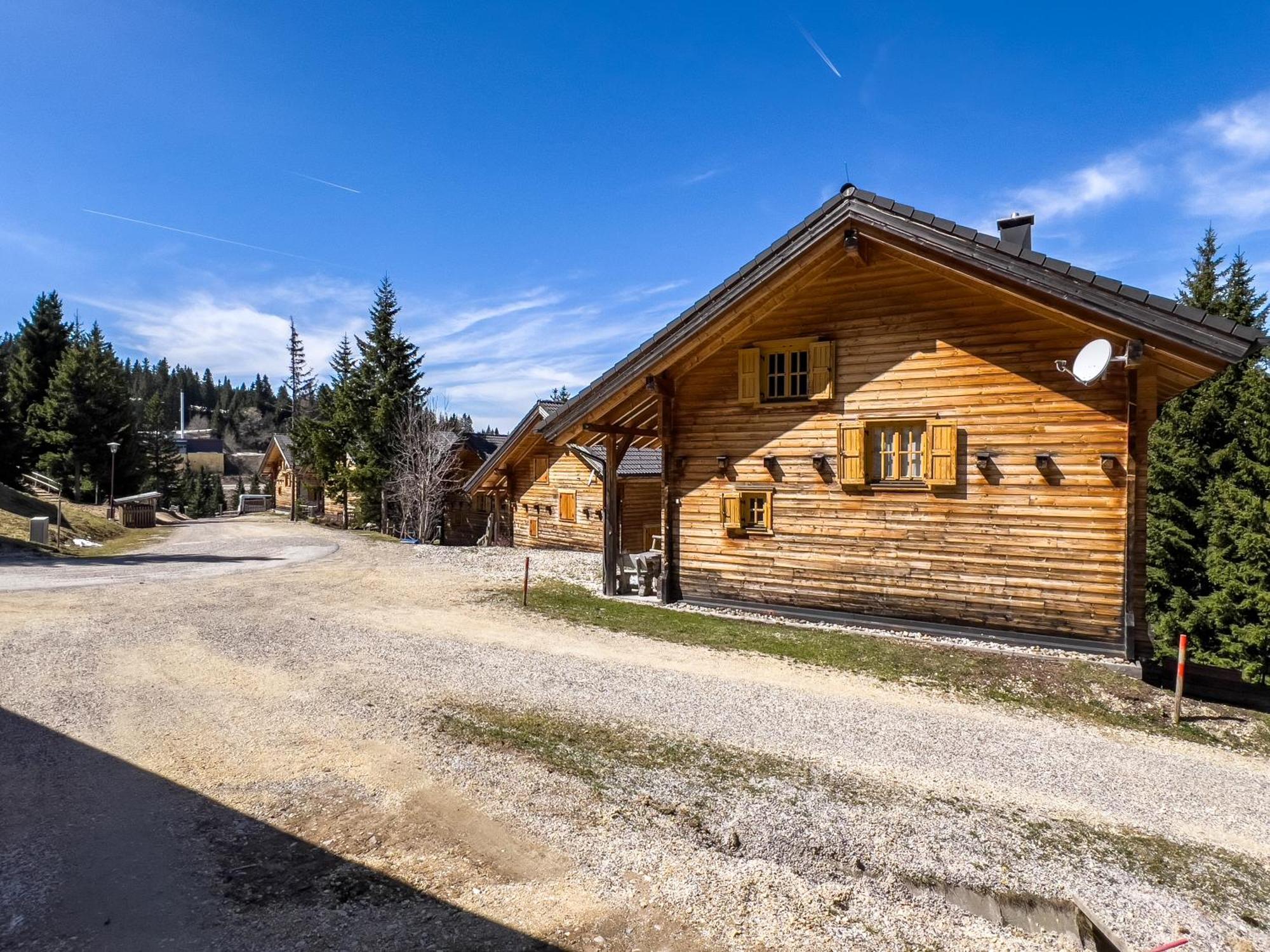 1A Chalet Enzianhuette - Ski Fahren Und Indoor Sauna Villa Elsenbrunn Luaran gambar