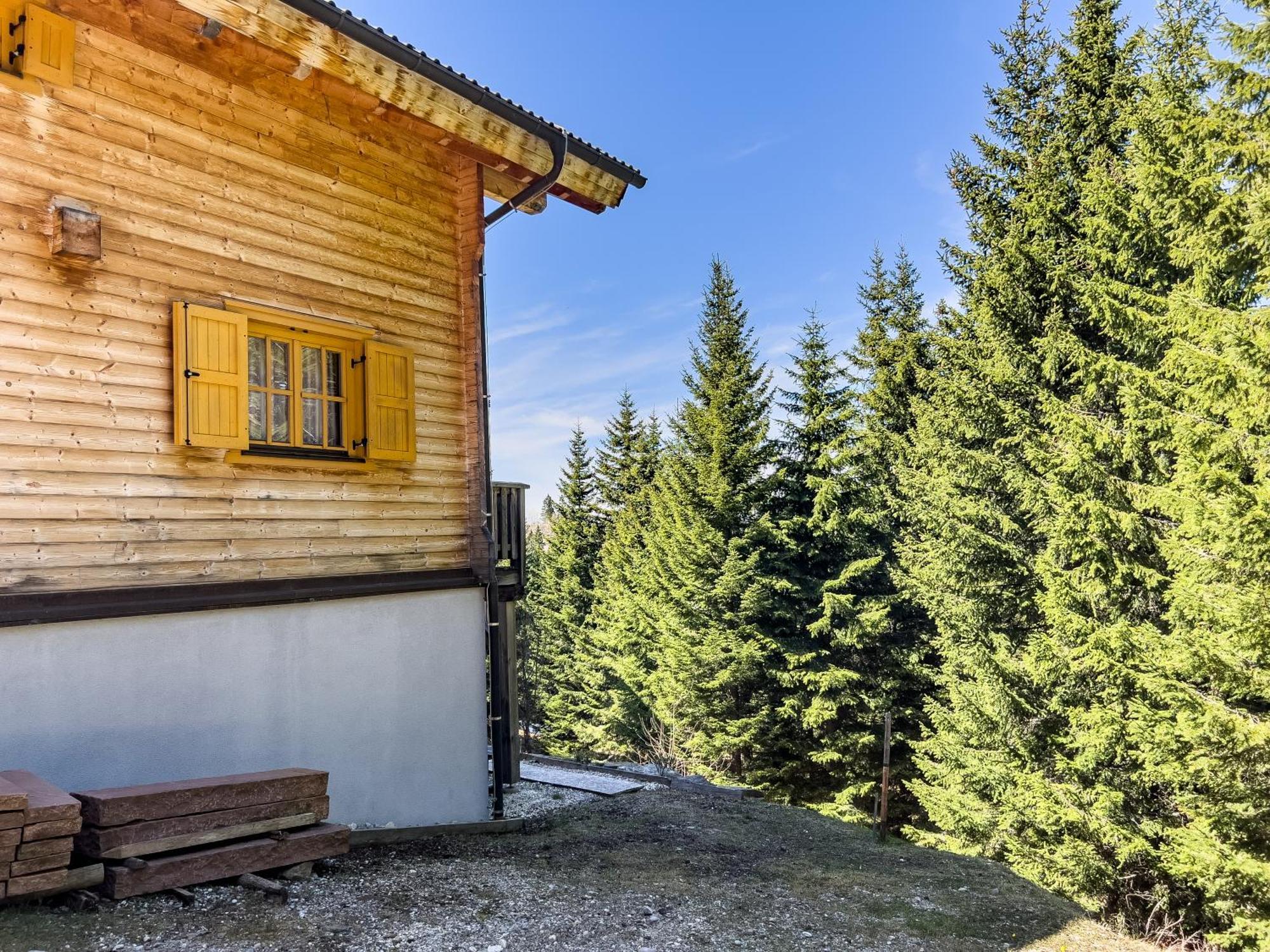 1A Chalet Enzianhuette - Ski Fahren Und Indoor Sauna Villa Elsenbrunn Luaran gambar